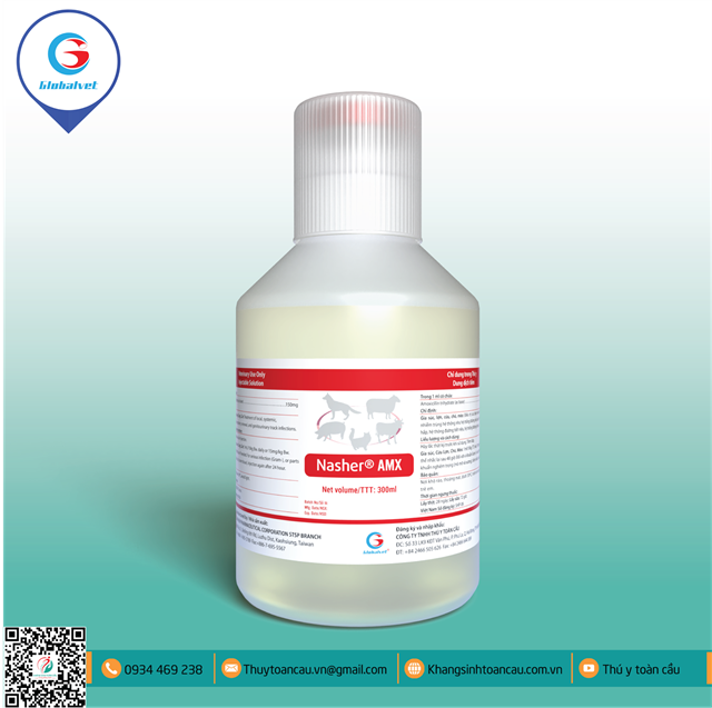 AMOXYCILLIN 15% - NASHER AMX  (ĐẶC TRỊ VIÊM VÚ, VIÊM TỬ CUNG - MMA)