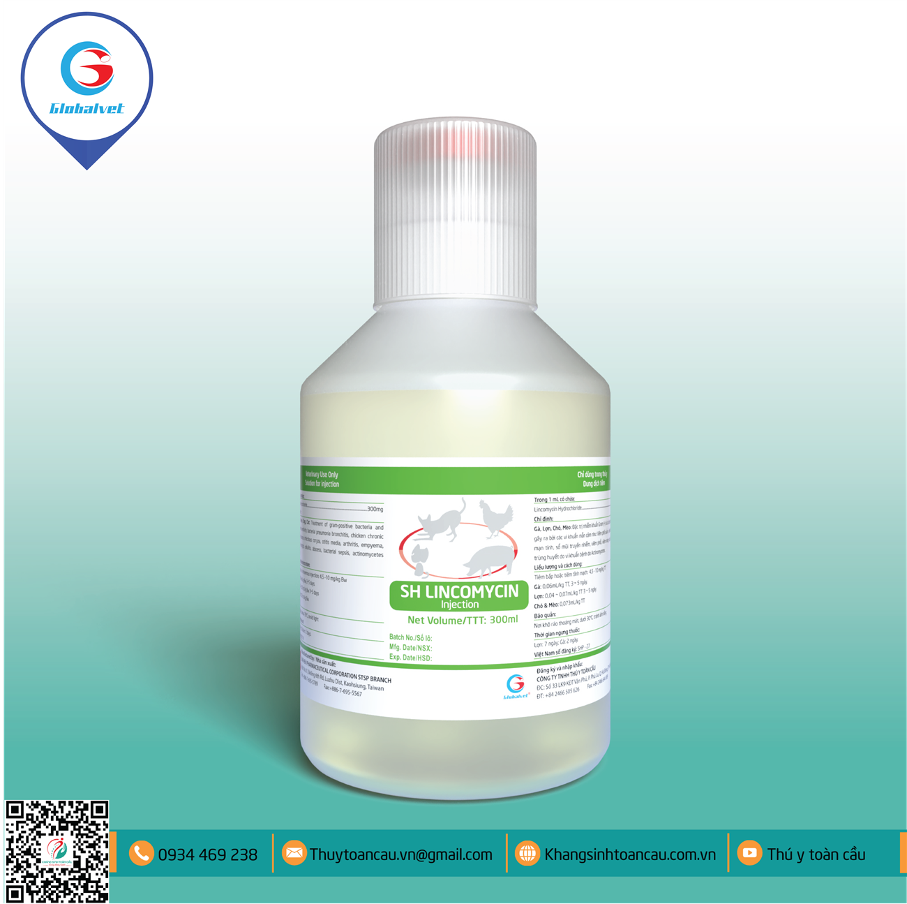 LINCOMYCIN 30% - SH LINCOMYCIN (ĐẶC TRỊ CÁC BỆNH VIÊM KHỚP, VIÊM ĐƯỜNG HÔ HẤP, TIÊU CHẢY)