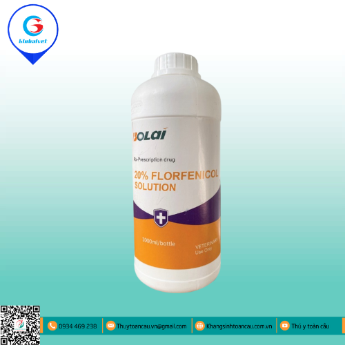 20% FLORFENICOL SOLUTION PHÒNG VÀ ĐIỀU TRỊ BỆNH HÔ HẤP, TIÊU HÓA