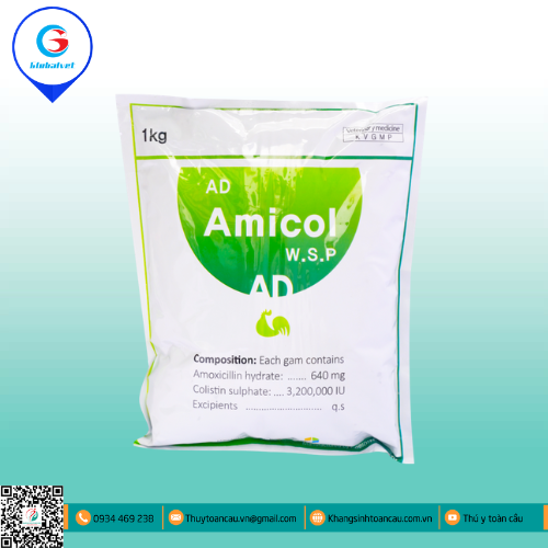 AD. AMICOL WSP