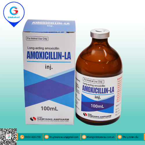 AMOXICILLIN-LA inj PHÒNG VÀ ĐIỀU TRỊ CÁC BỆNH TIÊU HÓA & HÔ HẤP TRÊN VẬT NUÔI