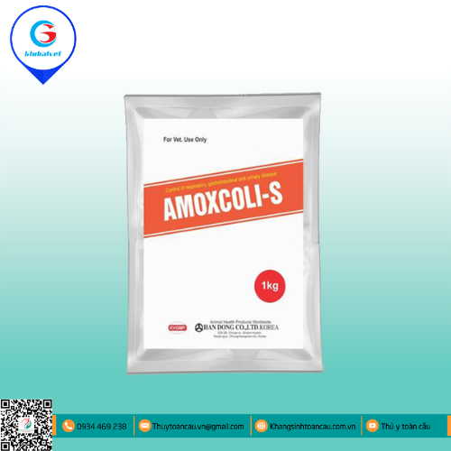 AMOXCOLI S