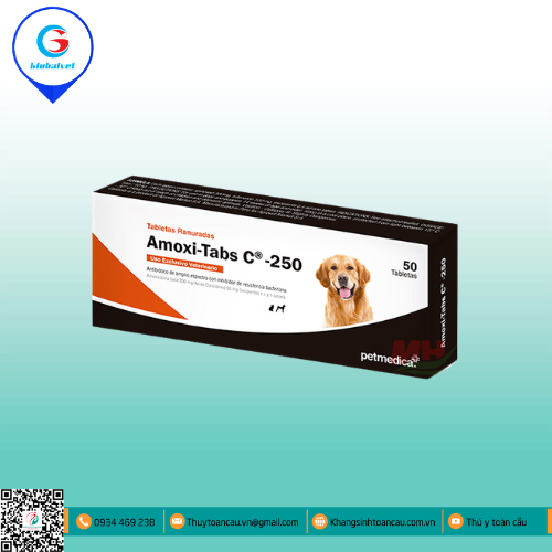 AMOXI- TAB C®-250