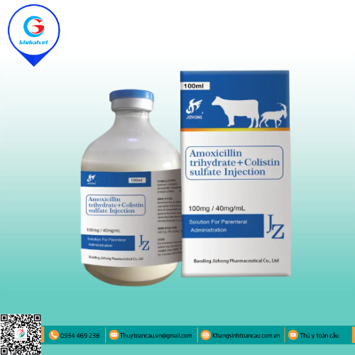 AMOXICILLIN TRYYDRATE + COLISTIN SULFATE INJECTION
