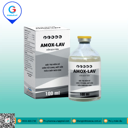 AMOX - LAV  ĐIỀU TRỊ ĐẶC BIỆT CÁC BỆNH NHIỄM TRÙNG VÚ, VIÊM TỬ CUNG, BỆNH NHIỄM TRÙNG ĐƯỜNG HÔ HẤP VÀ TIẾT NIỆU