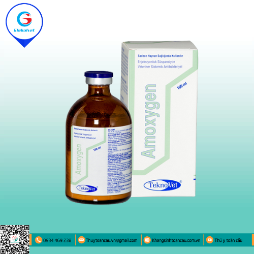 AMOXYGEN