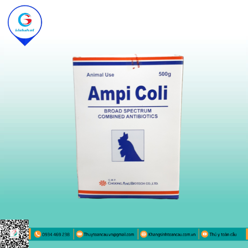 AMPI COLI