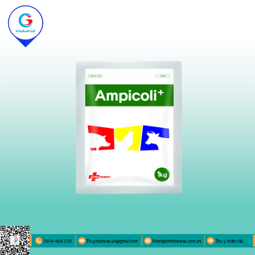 AMPICOLI+