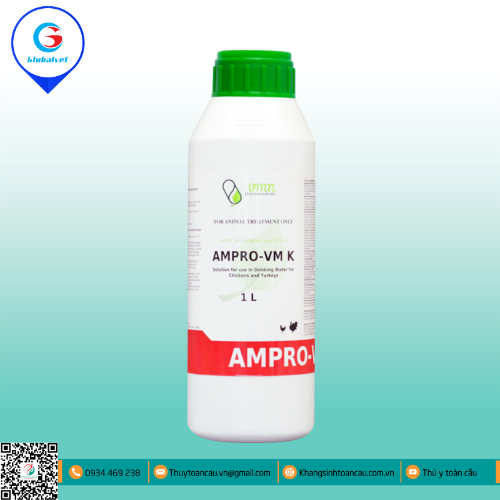 AMPRO – VM K ĐẶC TRỊ CẦU TRÙNG TRÊN GIA CẦM