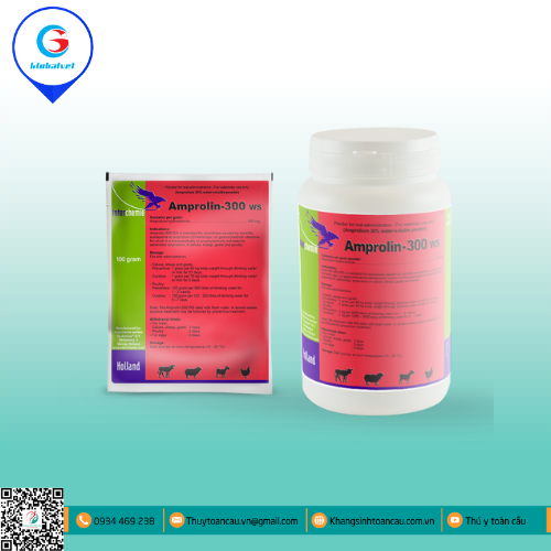AMPROLIN-300 WS ĐẶC TRỊ CẦU TRÙNG TRÊN VẬT NUÔI