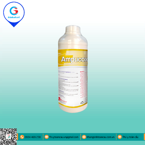 AMPUCOXIN SOL ĐẶC TRỊ CẦU TRÙNG