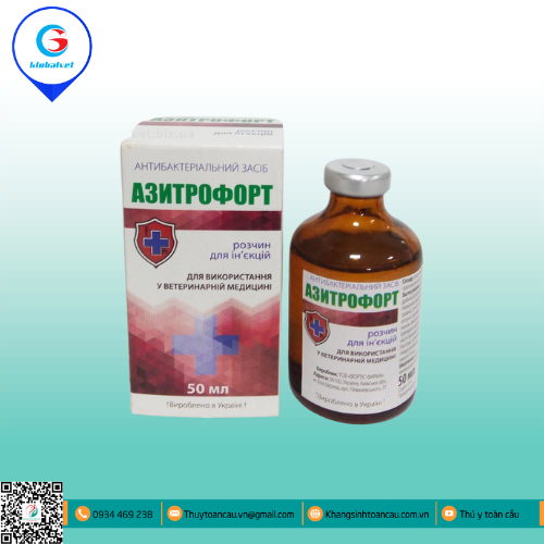 AZITROFORT ĐẶC TRỊ BỆNH ĐƯỜNG HÔ HẤP