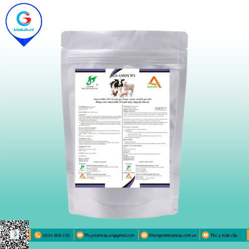 AMOX WS KHÁNG SINH HOẠT PHỔ RỘNG ĐIỀU TRỊ BỆNH ĐƯỜNG TIÊU HÓA VÀ HÔ HẤP