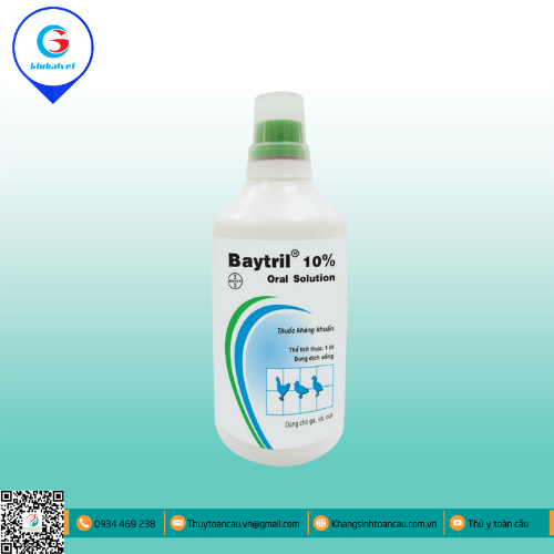 BAYTRIL 10% ORAL SOLUTION ĐẶC TRỊ BỆNH ĐƯỜNG TIÊU HÓA TRÊN GIA CẦM