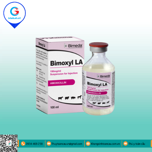 BIMOXY LA