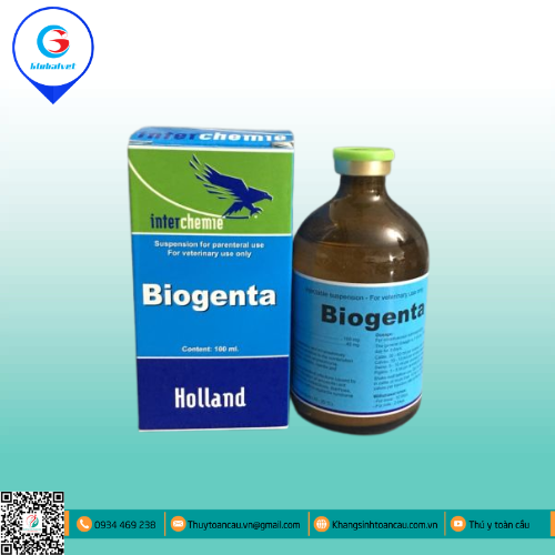BIOGENTA - KHÁNG SINH AMOXICILIN + GENTAMICIN