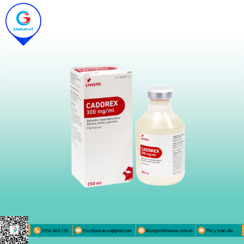 CADOREX ĐIỀU TRỊ BỆNH NHIỄM KHUẨN ĐƯỜNG HÔ HẤP