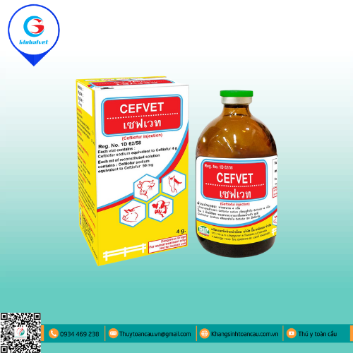 CEFVET