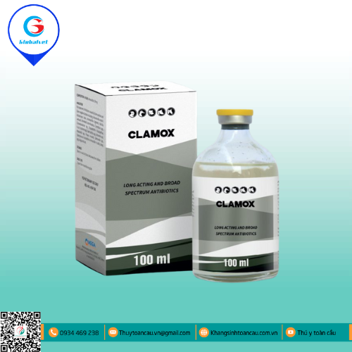 CLAMOX KHÁNG SINH PHỔ RỘNG VÀ TÁC DỤNG KÉO DÀI