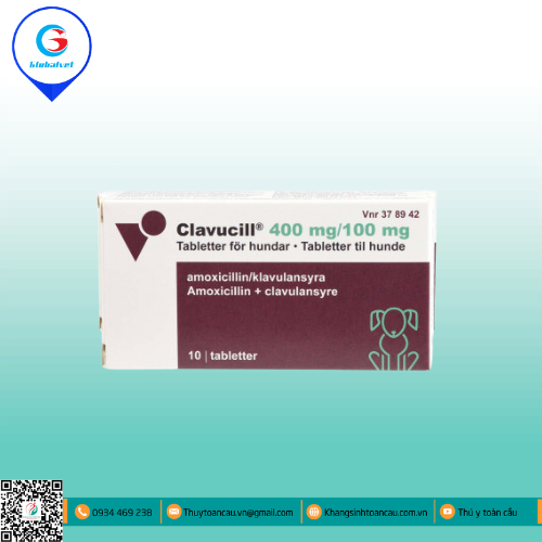 CLAVUCILL 400 mg/ 100 mg