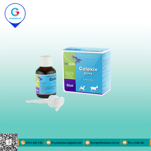 COLEXIN PUMP