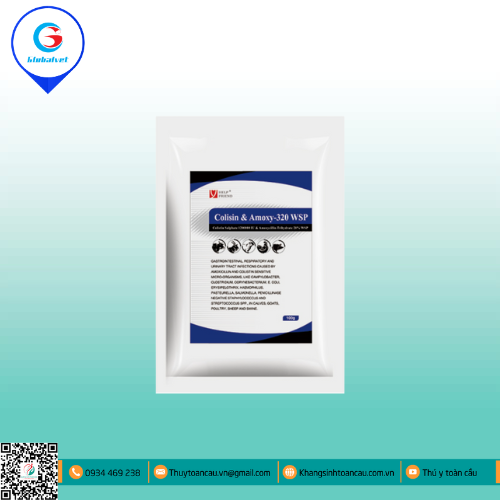 COLISIN & AMOXY 320 WSP