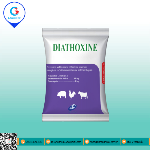 DIATHOXINE ĐIỀU TRỊ NHIỄM TRÙNG ĐƯỜNG TIÊU HÓA, HÔ HẤP