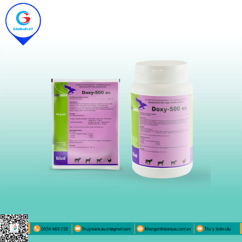 DOXY - 500 WS