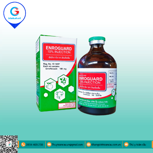 ENROGUARD 10% INJECTION  ĐẶC TRỊ BỆNH ĐƯỜNG TIÊU HÓA TÊN HEO, GIA SÚC
