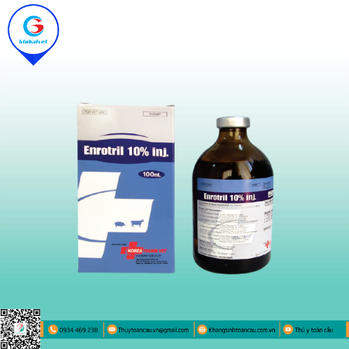 ENROTRIL 10% INJ ĐẶC TRỊ BỆNH ĐƯỜNG TIÊU HÓA TÊN HEO, GIA SÚC
