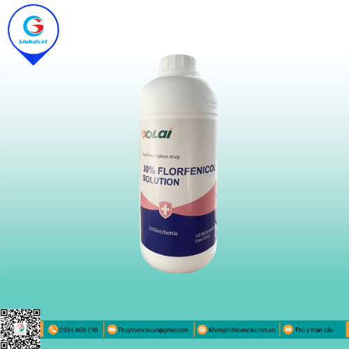 FLORFENICOL 30% SOLUTION PHÒNG VÀ ĐIỀU TRỊ BỆNH HÔ HẤP, TIÊU HÓA