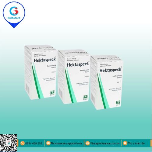 HEKTASPECK ĐẶC TRỊ BỆNH ĐƯỜNG HÔ HẤP