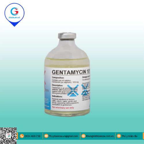 GENTAMYCINE 10% INJ