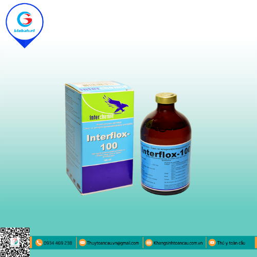 INTERFLOX-100 ĐẶC TRỊ BỆNH ĐƯỜNG TIÊU HÓA TÊN HEO, GIA SÚC