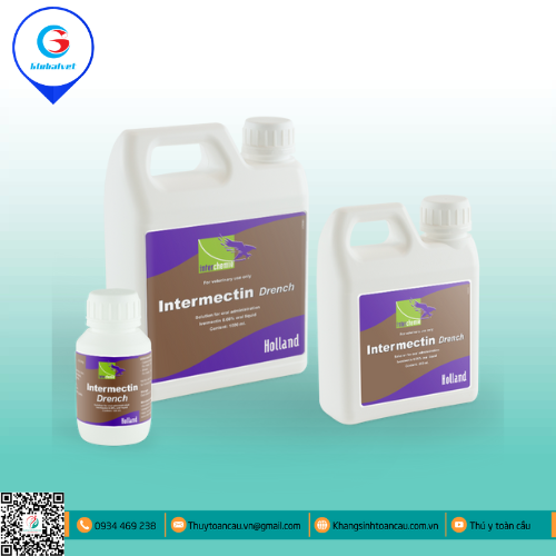 INTERMECTIN ORAL ĐẶC TRỊ KÝ SINH TRÙNG
