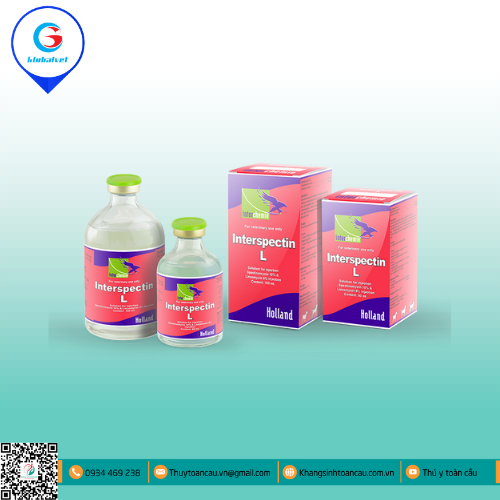 INTERSPECTIN-L ĐẶC TRỊ BỆNH ĐƯỜNG HÔ HẤP