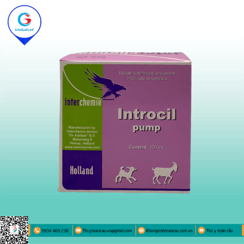INTROCIL