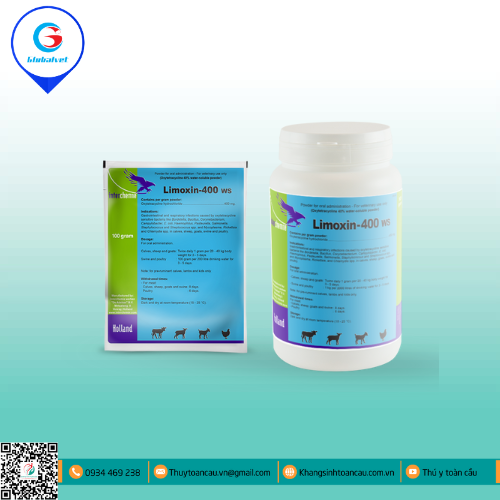 LIMOXIN 400 WS