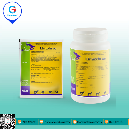 LIMOXIN WS