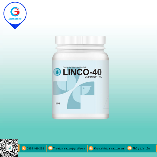 LINCO-40  ĐẶC TRỊ BỆNH ĐƯỜNG HÔ HẤP