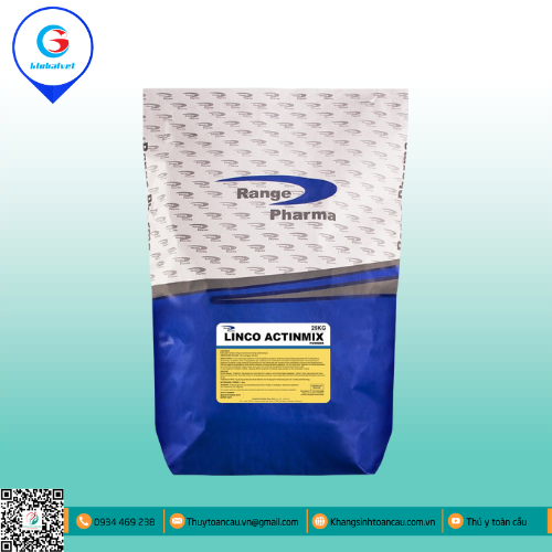 LINCO ACTINMIX ĐẶC TRỊ BỆNH ĐƯỜNG HÔ HẤP TRÊN HEO