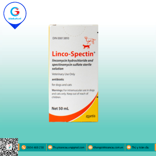 LINCO-SPECTIN ĐẶC TRỊ BỆNH ĐƯỜNG HÔ HẤP 