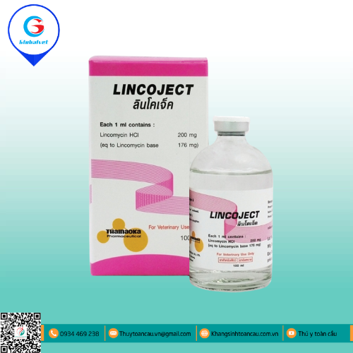 LINCOJECT ĐẶC TRỊ BỆNH ĐƯỜNG HÔ HẤP