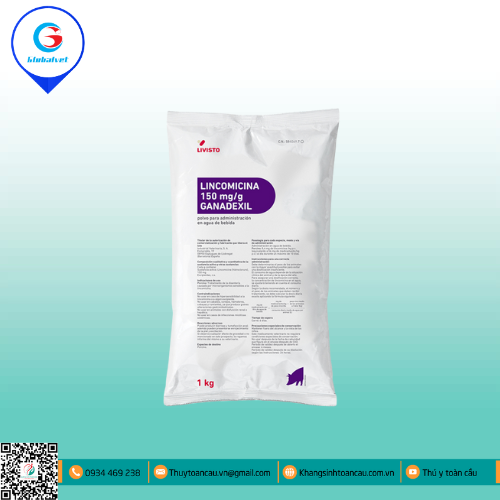 LINCOMICINA 150 GANADEXIL ĐẶC TRỊ BỆNH ĐƯỜNG HÔ HẤP