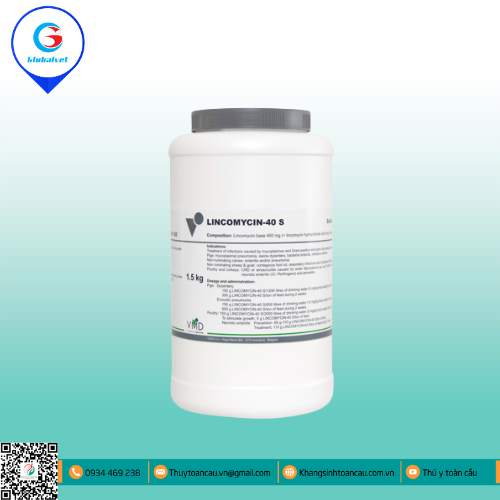LINCOMYCIN-40 S ĐẶC TRỊ BỆNH ĐƯỜNG HÔ HẤP