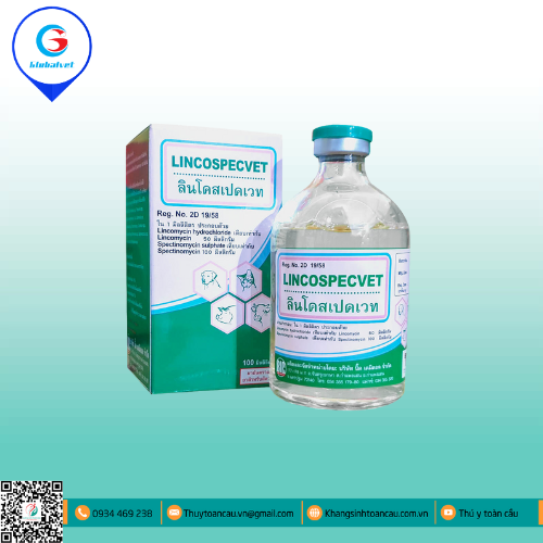 LINCOSPECVET ĐẶC TRỊ BỆNH ĐƯỜNG HÔ HẤP 