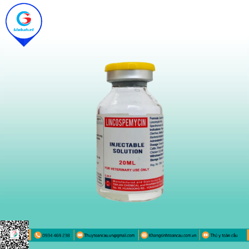 LINCOSPEMYCIN ĐẶC TRỊ BỆNH ĐƯỜNG HÔ HẤP TRÊN VẬT NUÔI