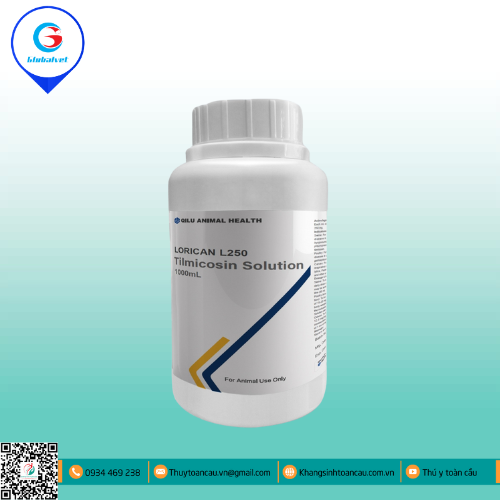 LORICAN L250 TILMICOSIN SOLUTION