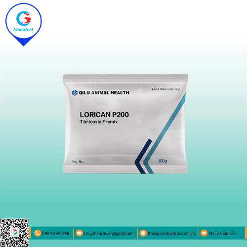 LORICAN P200