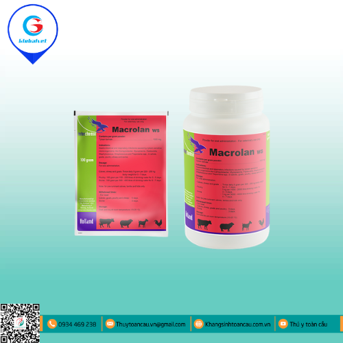 MACROLAN WS ĐẶC TRỊ BỆNH ĐƯỜNG HÔ HẤP